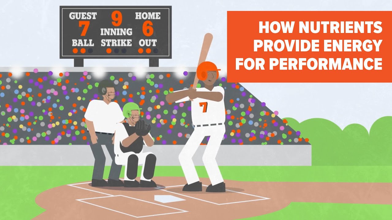 How Nutrients Provide Energy for Performance