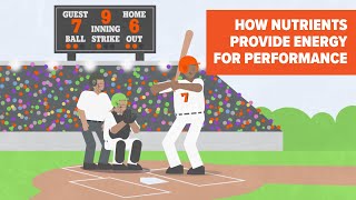 Backed by Science: How Nutrients Provide Energy for Performance