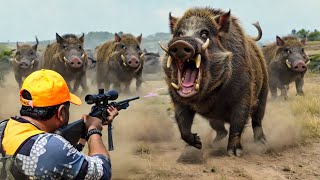 Unbelievable! Hunters Face Deadly Wild Boars Like Never Before