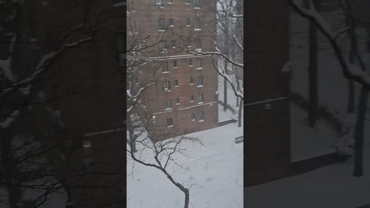 snow storm in New York :) 