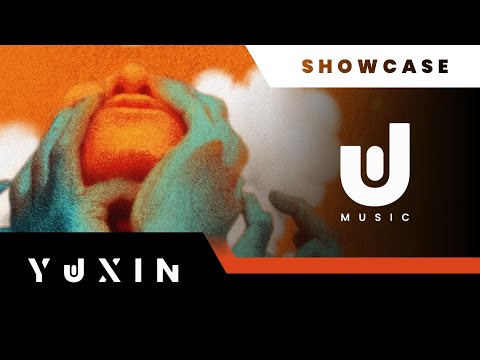 Kaskade WILL K Flip Reset 