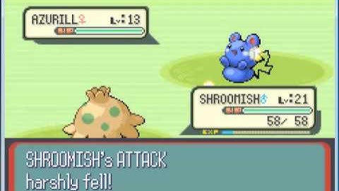 pokemon ruby walkthrough part 08 "GO TO SLATEPORT CITY"