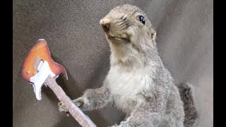 The Rodents - Happy Birthday