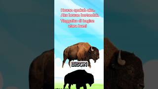 jawaban TEBAK GAMBAR |BUKAN BANTENG #shorts  #fyp #tebakgambar #puzzle