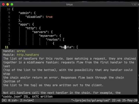 caddy JSON schema (Vim)
