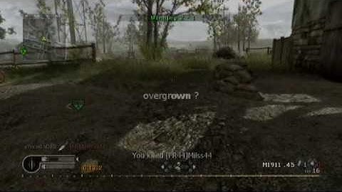 CoD4 | overgrown ?