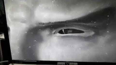 Amiga Vampire FPU/Femu test cases