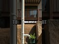 Umbrella Rain Harvester DIY Balcony Water System