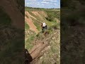 Zuumav cbc 300 (мякиш)