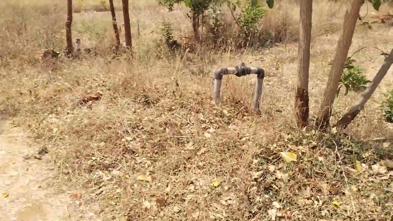 Sale agriculture land on 1 acrs 29 Gunta Red soil veerashaiva lingyath land near malvali 15 km 