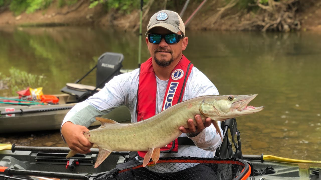 Kayak musky fishing!! 9 blowups!! Watch and see how many we landed