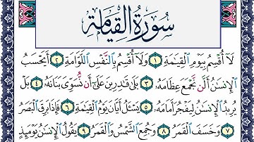 سورة القيامة مكتوبة محمد جبريل Surah Al Keiama Mohammd Jpreel برواية حفص عن عاصم