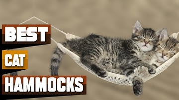 Best Cat Hammock In 2025 - Top 10 Cat Hammocks Review