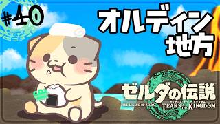 【ティアキン] #40 突入せよ！オルディン地方🏔【ゼルダの伝説TOTK/ティアーズオブザキングダム/むぅたま VTuber】