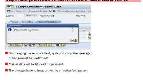 SAP FI Tips and Tricks Sensitive Fields (Dual Control)