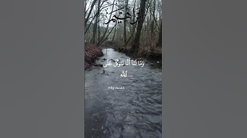 آيات بينات من الذكر الحكيم بصوت رائع وجميل ❤ #القرآن_الكريم #اكسبلور #المغرب #المصحف #دويتو