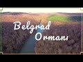 Belgrad Ormanı - İstanbul | Drone 4K
