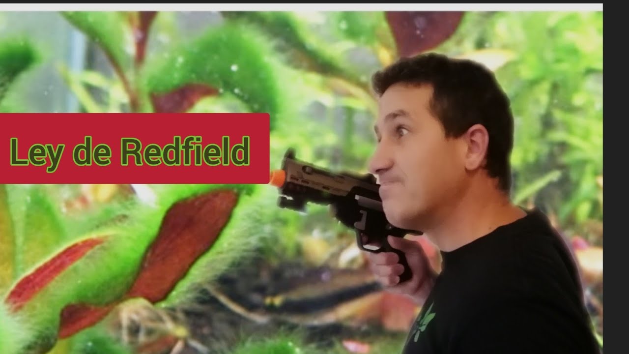 Ley de Redfield. Y proporciones Nitrogeno-fosforo