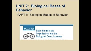 AP Psychology- Module 13