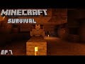 Minecraft 1.14.4 Survival Let's Play | Ep.7 | XP Dogs!