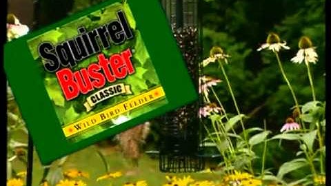 See the Brome Direct Squirrel Buster in action