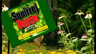 See the Brome Direct Squirrel Buster in action