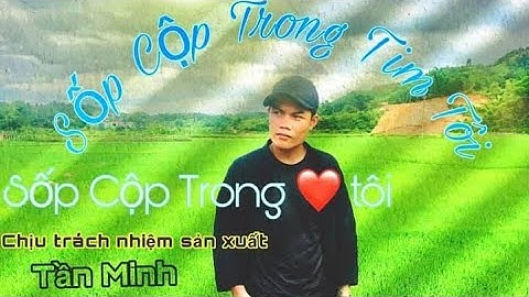 Tần Minh _Triệu Trí |Dongtonghaha|Sốp Cộp Trong Tim Tôi | MV music