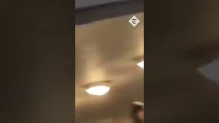 Moment Dutch Farright Leader Attacked With Umbrella