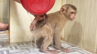 Chaly Defecate While Mom Bathing For Him