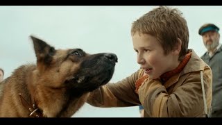 ロシア版“忠犬ハチ公”パルマと少年の感動の物語！　映画『ハチとパルマの物語』