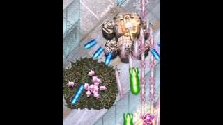 Muchi Muchi Pork! 1-ALL with Momo, Cave arcade PCB (2007)