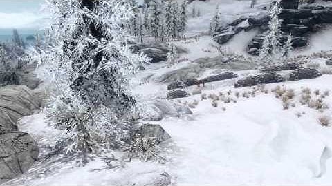 True Vision ENB mod for Skyrim (Realistic Graphics): Snowfall