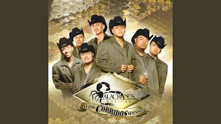 Video thumbnail of "Alacranes Musical - El Coleadero"