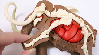Mammoth Reproduction Puzzle Dismantling Puzzle Science
