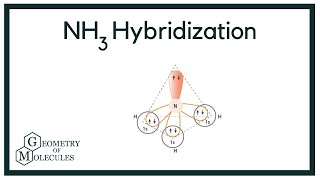Hybridization of NH3 (Ammonia)