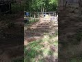 Live highlight #YeshuaInTheWoods