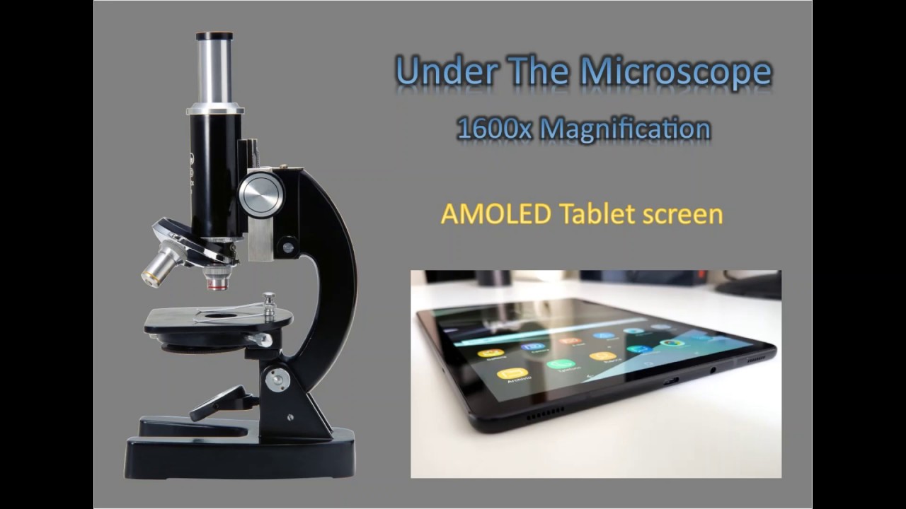 Under The Microscope - Tablet screen - YouTube