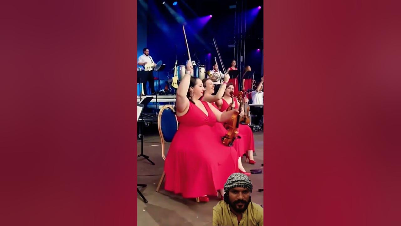 🥁The Bongo Song |PERCUSSION DUO#shorts - The Maestro & The European PopOrchestra