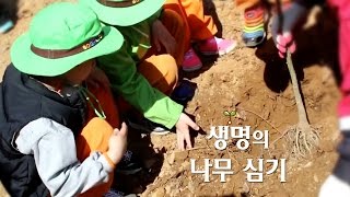 [시흥시] 제71회 식목일 행사