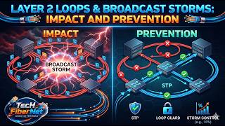 Layer 2 Loops &amp; Broadcast Storms Impact and Prevention | Tech FiberNet