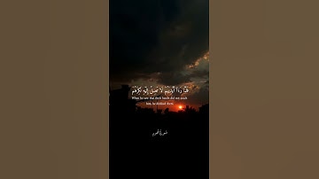 ما تيسر من سوره هود || للقارئ جمال محمد || #قرآن_كريم #فلسطين_حرة #جمال