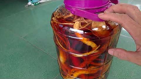 Vlog 546 - Ngâm rượu - Rượu đinh lăng