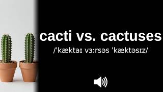 How to pronounce cacti vs cactuses CORRECTLY