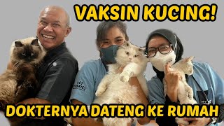 DEMI SEHAT! SEMUA KUCING OM WEPE SUNTIK VAKSIN BARENGAN