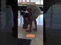 Ohh Shammi's toe's Broken #ytshorts #shortvideo #funnyprank #trending #shortsfeed