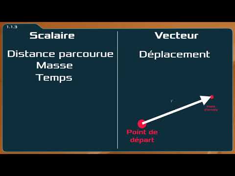 Comparaisons Entre Le Plan Et La Réalité : Voici Ce Que Vous Devez Savoir