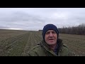 Озимый рапс по No-Till. Быть или нет на севере Ростовской обл.