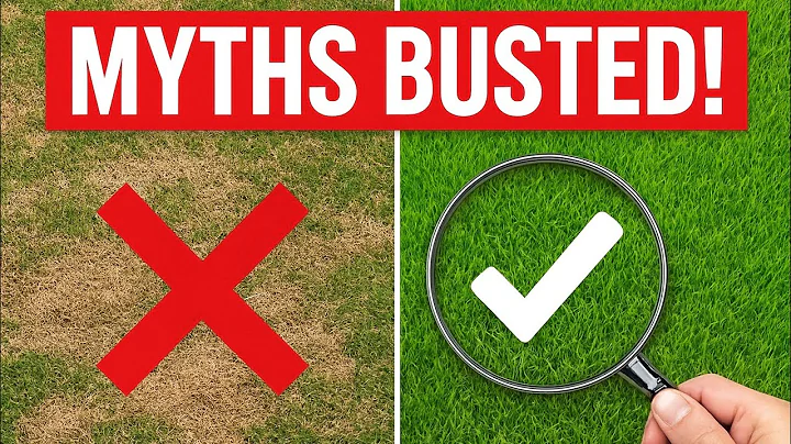 Top 5 Lawn Care Myths BUSTED | Do You Believe These?