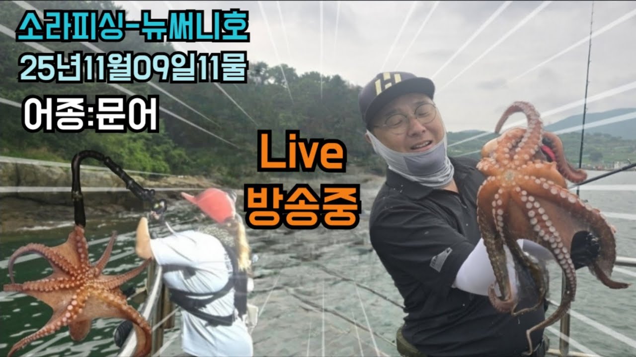 서해권 키로급 문어가 이제야 나온다고!! #무창포 #외연도 #갑오징어낚시 #문어낚시 #뉴써니호 #서해바다낚시 #하룽이일상
