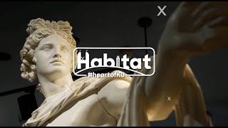 Habitat: Explore Ancient Artifacts Inside KU&#39;s Wilcox Museum